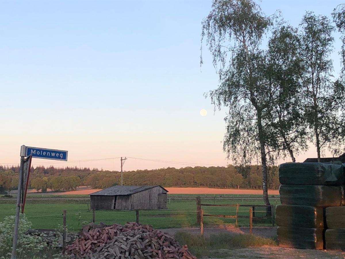 Bed and Breakfast De Gouden Wilg Lunteren Exterior foto
